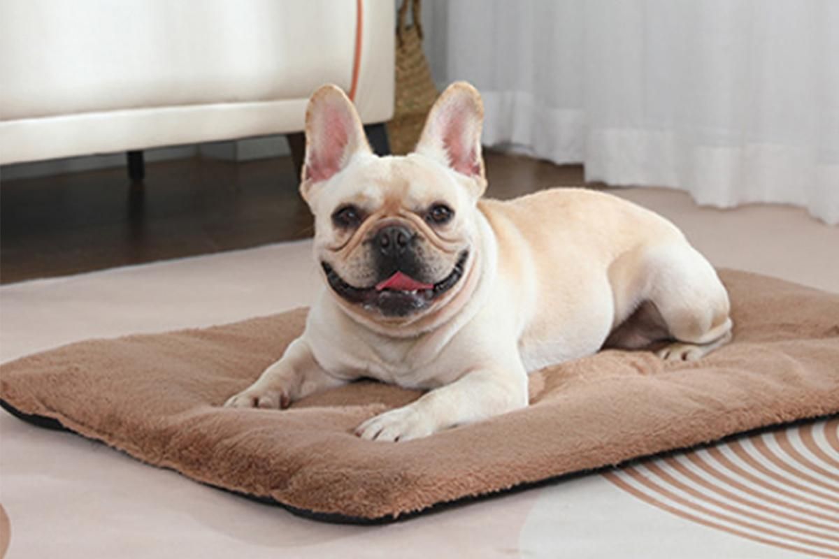 2Pcs Pet Blanket Self-Heating Bed Pad Cat Dog Self-Warming Cushion-Khaki S - view 3