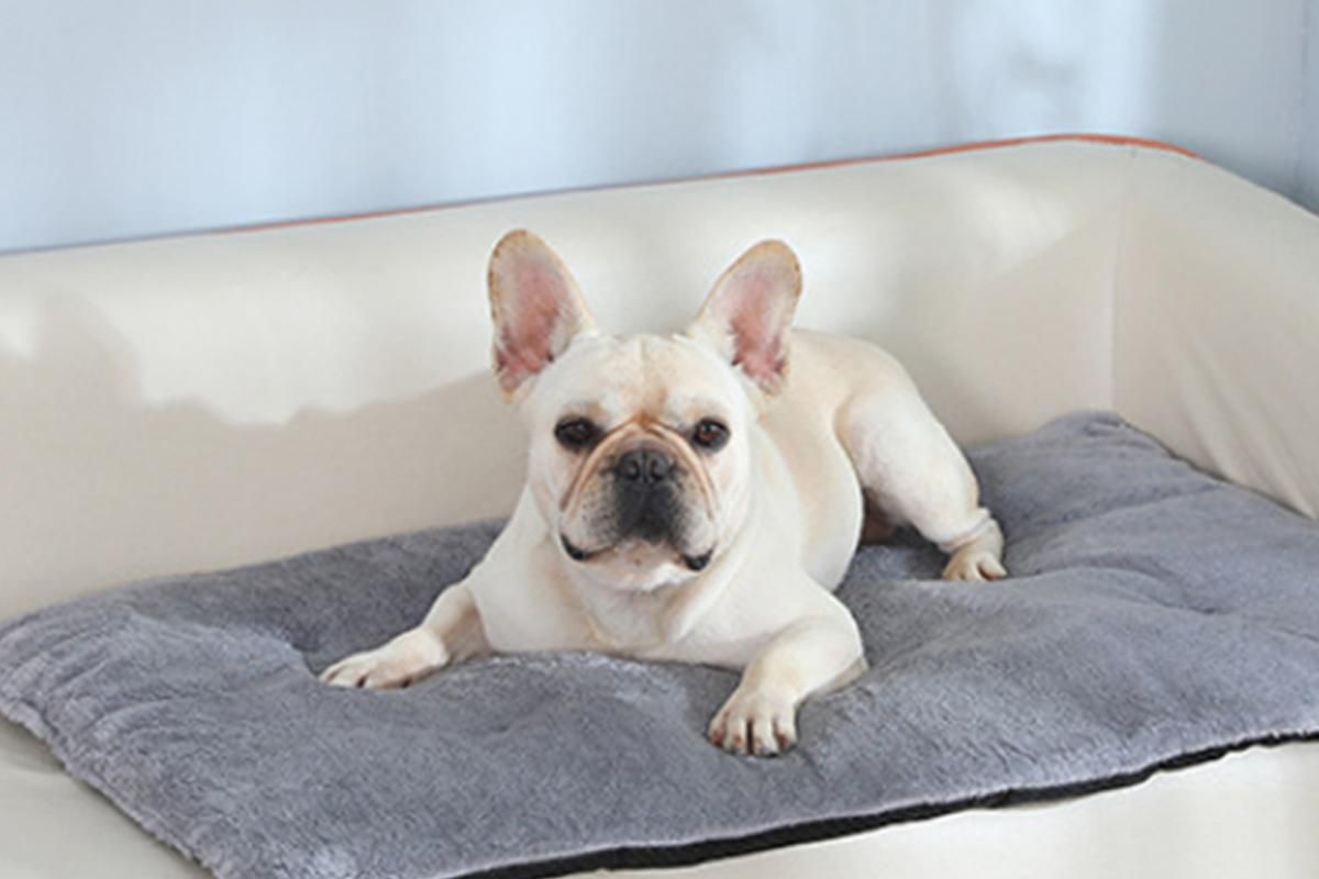 2Pcs Pet Blanket Self-Heating Bed Pad Cat Dog Self-Warming Cushion-Grey S - view 2