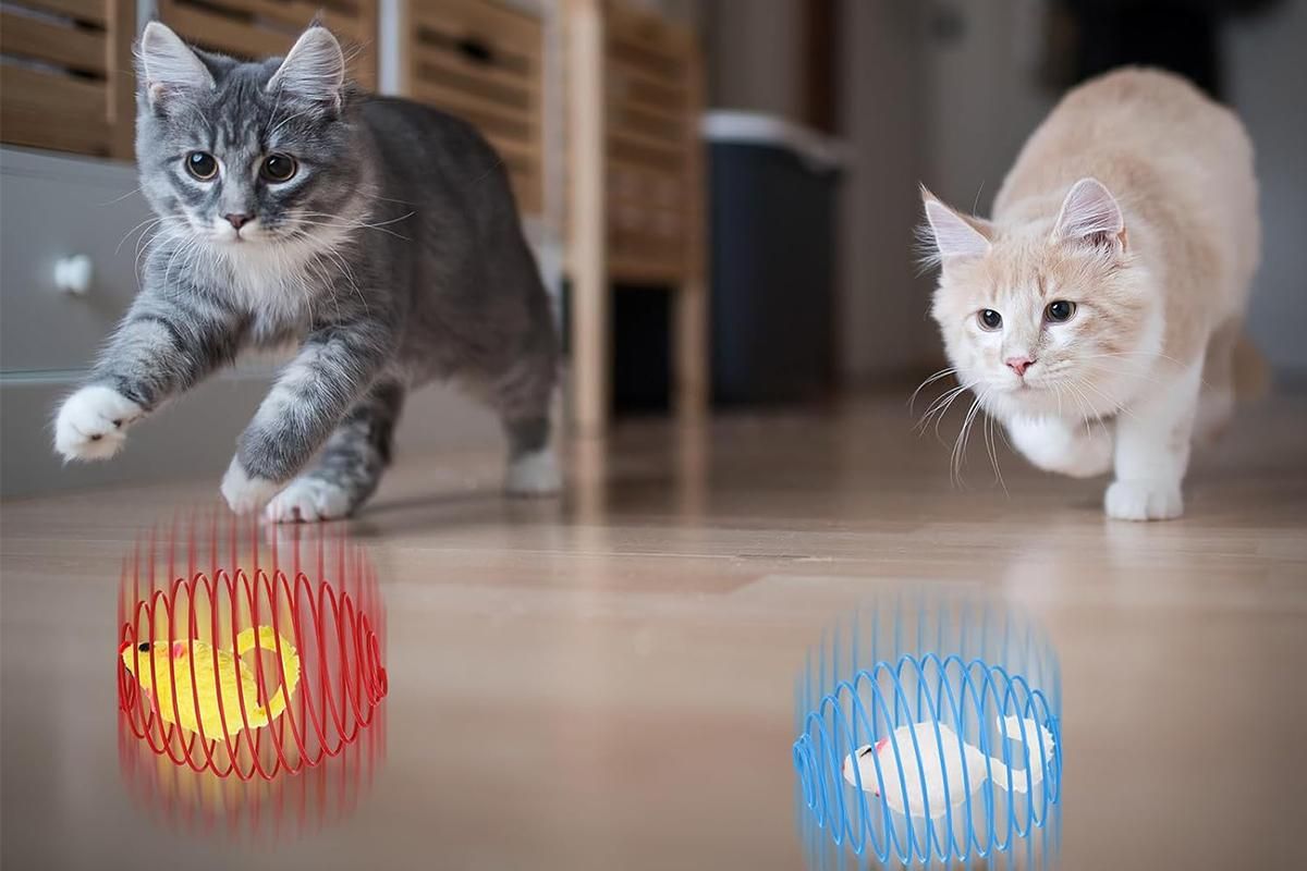 5Pcs Cat Spring Balls Toys Stretchable Rolling Balls Cat Spring Toys for Kitten - view 2