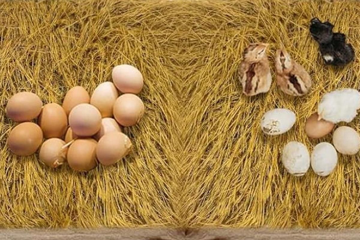 6Pcs Chicken Nesting Pads Artificial Grass Rug Carpet Washable Chicken Coop Bedding - view 7