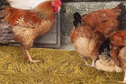 6Pcs Chicken Nesting Pads Artificial Grass Rug Carpet Washable Chicken Coop Bedding - view 8