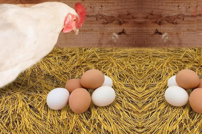 6Pcs Chicken Nesting Pads Artificial Grass Rug Carpet Washable Chicken Coop Bedding - view 9