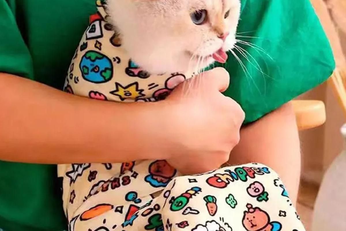 Cat Grooming Wrap For Nail Clipping Scratch Escape Calming Multifunctional Pet Tool M - view 2