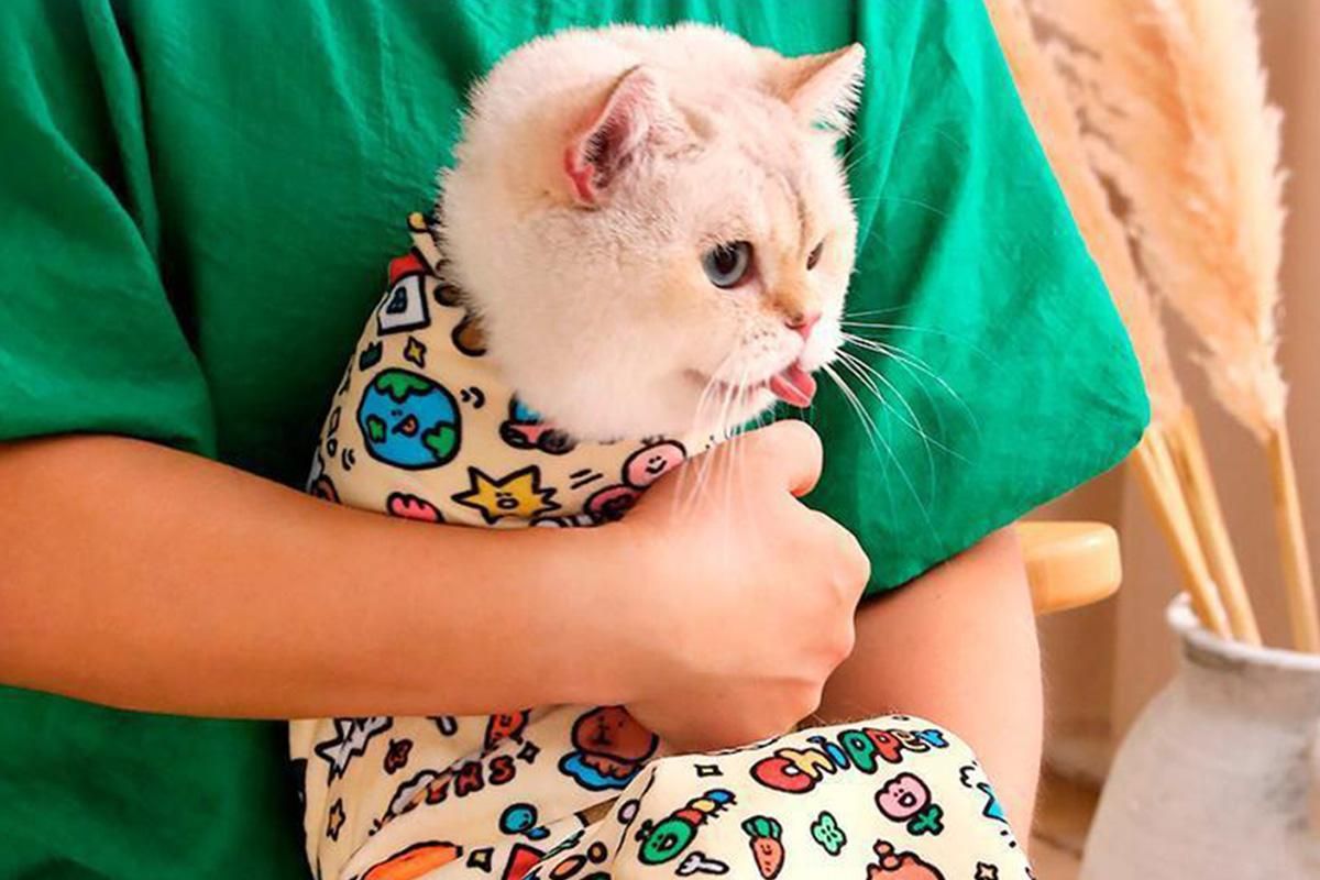 Cat Grooming Wrap For Nail Clipping Scratch Escape Calming Multifunctional Pet Tool M - view 6