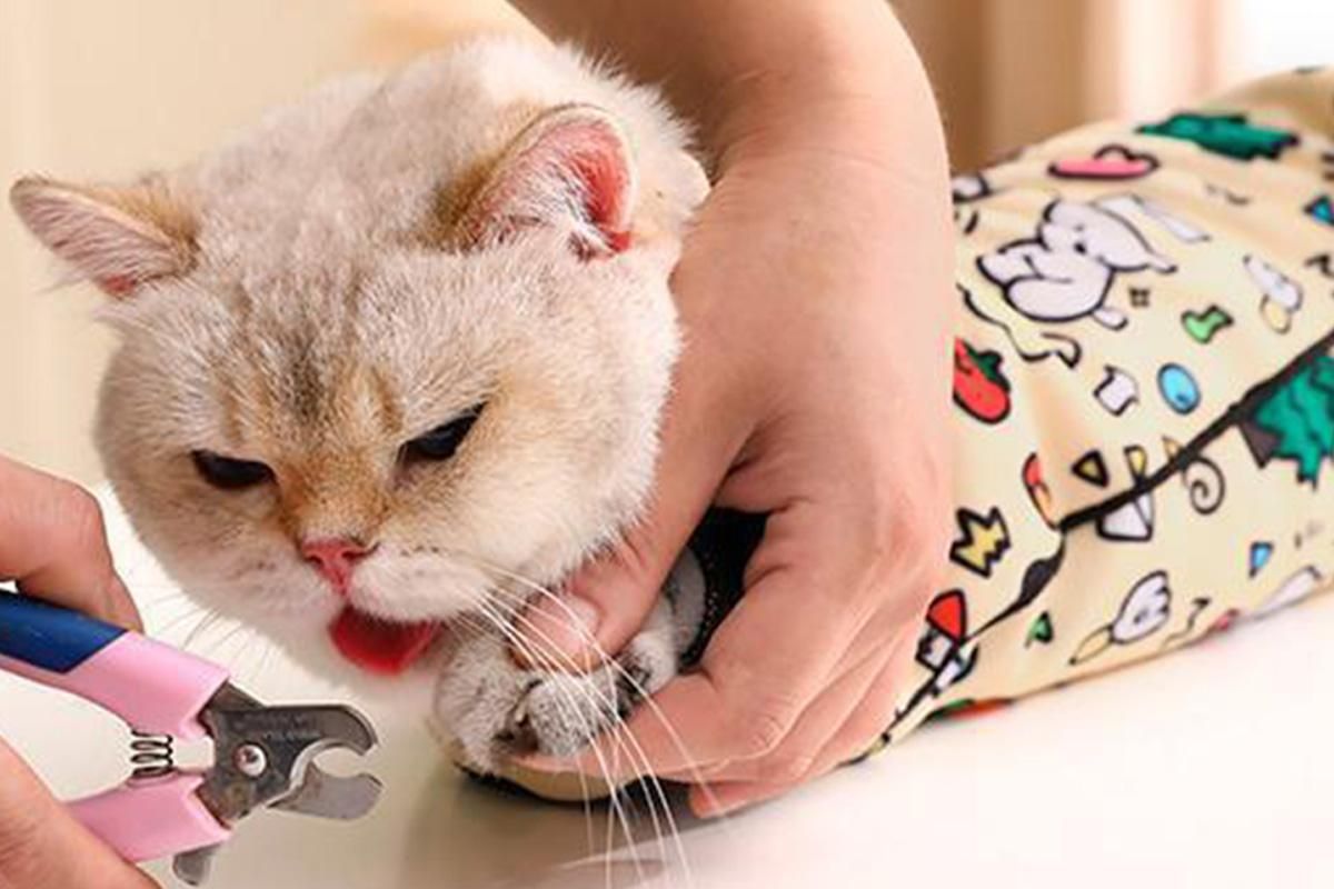 Cat Grooming Wrap For Nail Clipping Scratch Escape Calming Multifunctional Pet Tool M - view 8