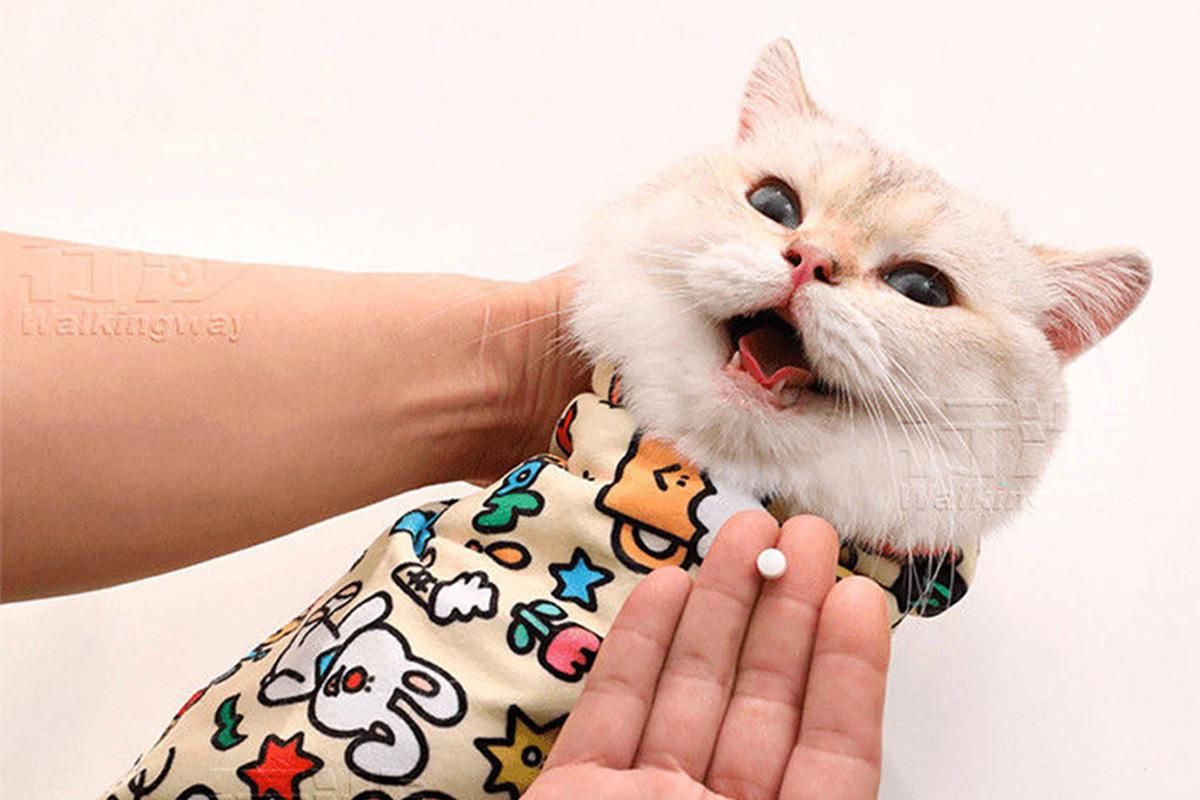 Cat Grooming Wrap For Nail Clipping Scratch Escape Calming Multifunctional Pet Tool M - view 9