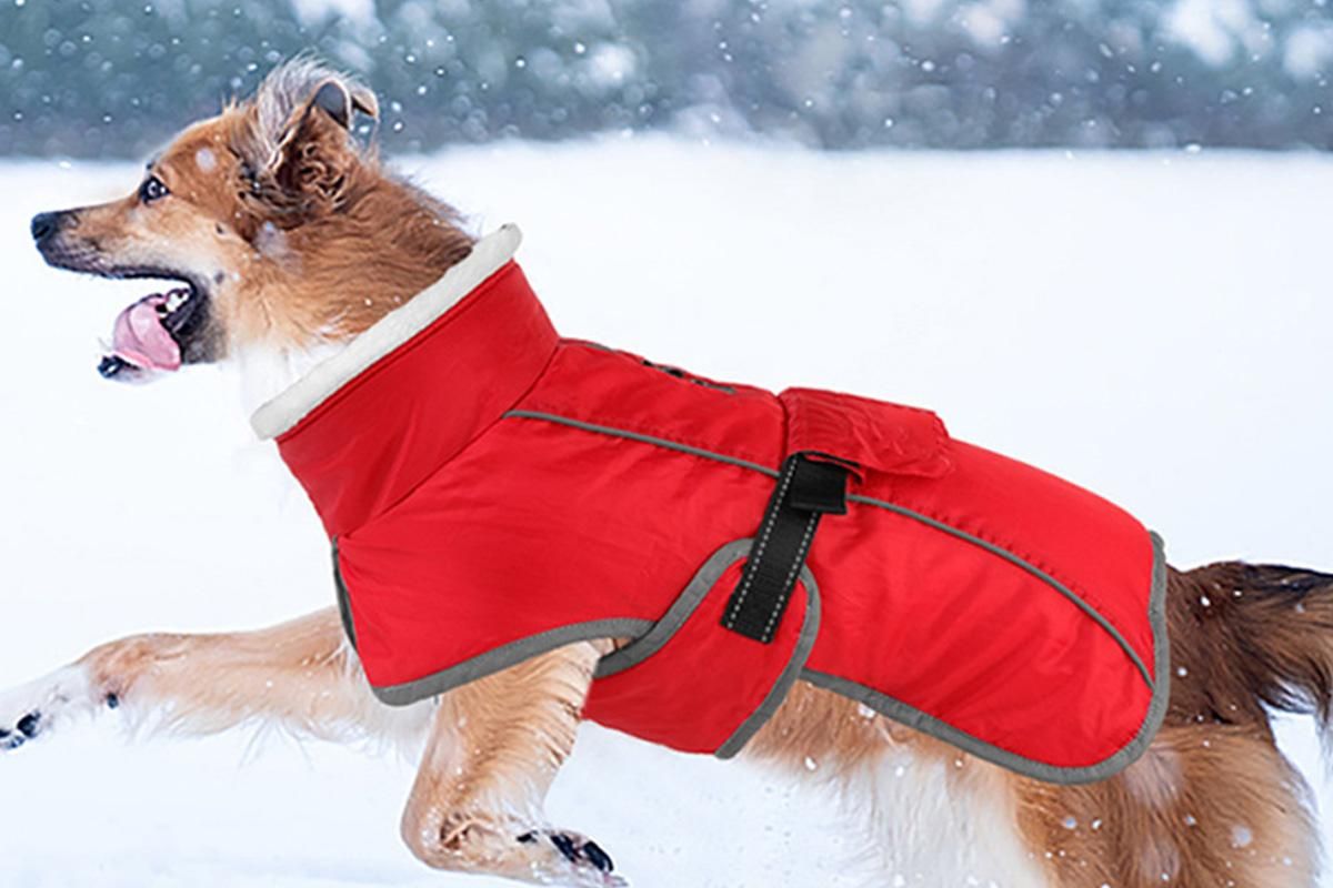 Dogcheer Dog Coat Reflective Dog Snow Jacket for Small Medium Large Dogs -Red M - view 2