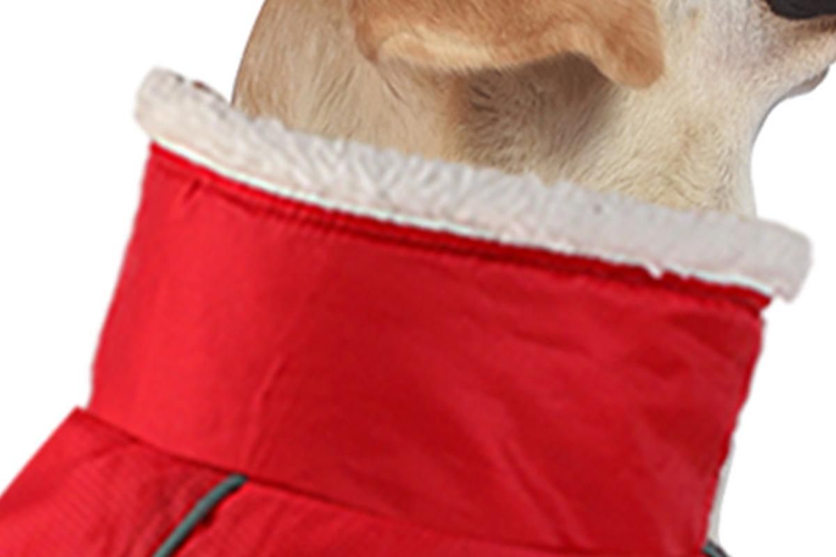 Dogcheer Dog Coat Reflective Dog Snow Jacket for Small Medium Large Dogs -Red M - view 3