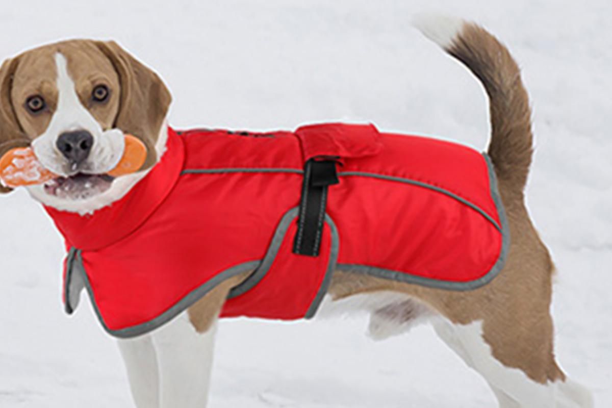 Dogcheer Dog Coat Reflective Dog Snow Jacket for Small Medium Large Dogs -Red M - view 7