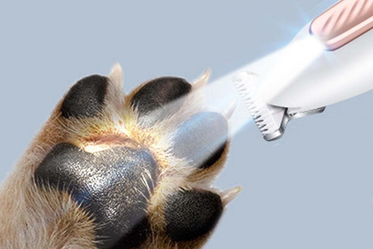 Dog Paw Trimmer with LED Light Low Noise Dog Grooming Clippers for Paws Eyes Ear - view 3