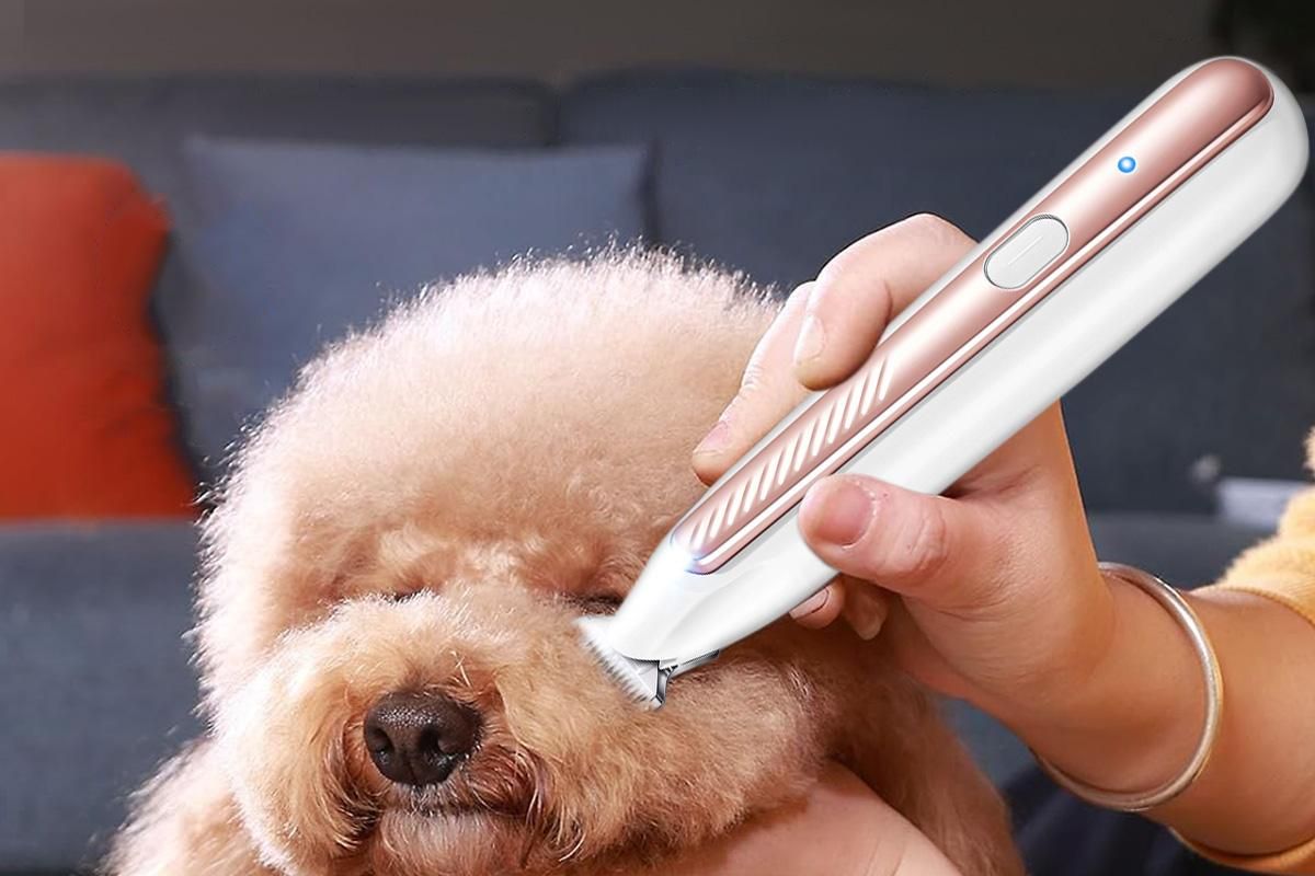 Dog Paw Trimmer with LED Light Low Noise Dog Grooming Clippers for Paws Eyes Ear - view 10