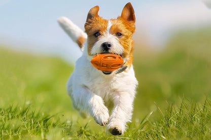 Puppy Chew Ball With Squeaker Dog Chew Toys Squeaky Dog Toys For Aggressive Chewers-Orange - view 8