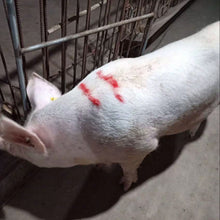 4PCS Livestock Marking Crayon Pig Cattle Cow Sheep Marker Farming Livestock Marking Accessories - view 2