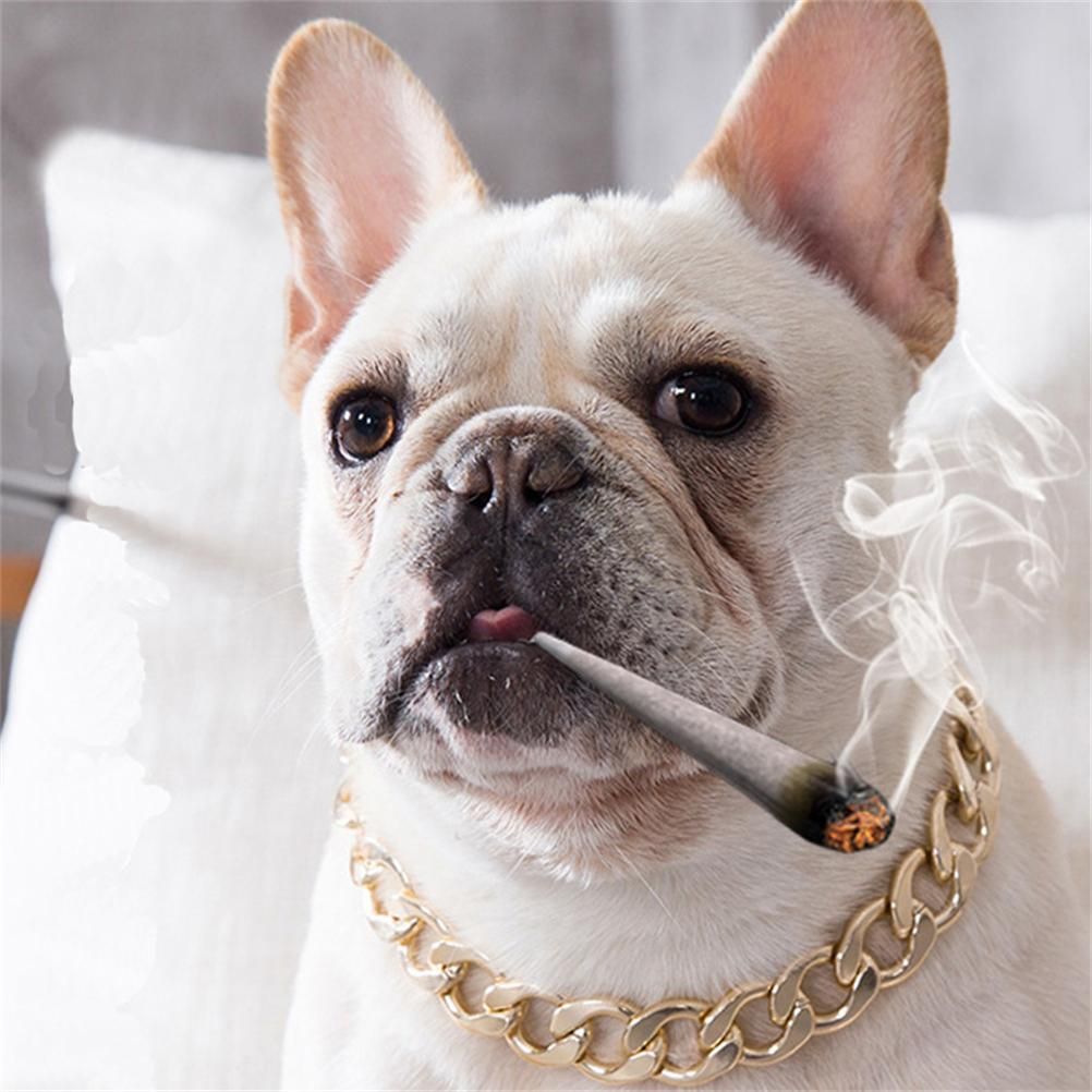 Dog Chain Pet Dog Metal Gold Collar Necklace Pet Jewelry Accessories for Four Seasons - view 2