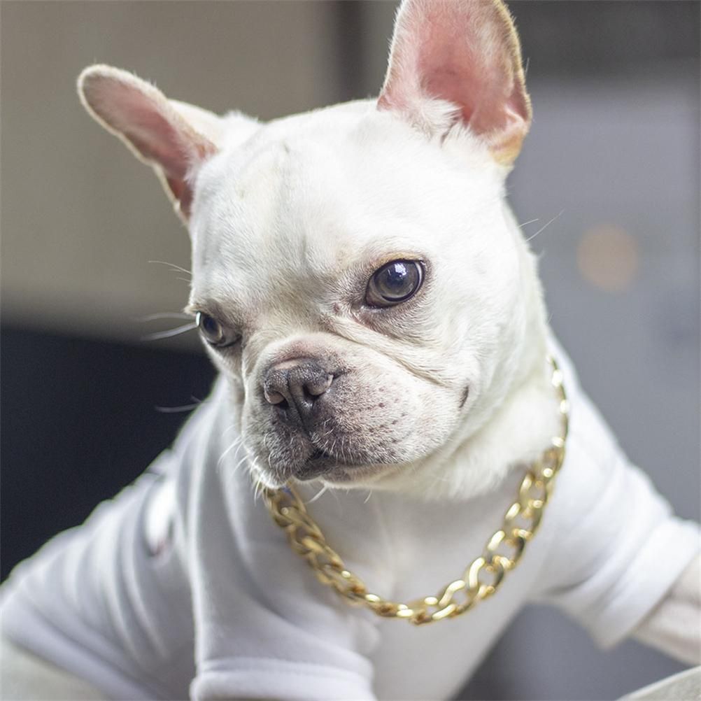 Dog Chain Pet Dog Metal Gold Collar Necklace Pet Jewelry Accessories for Four Seasons - view 3