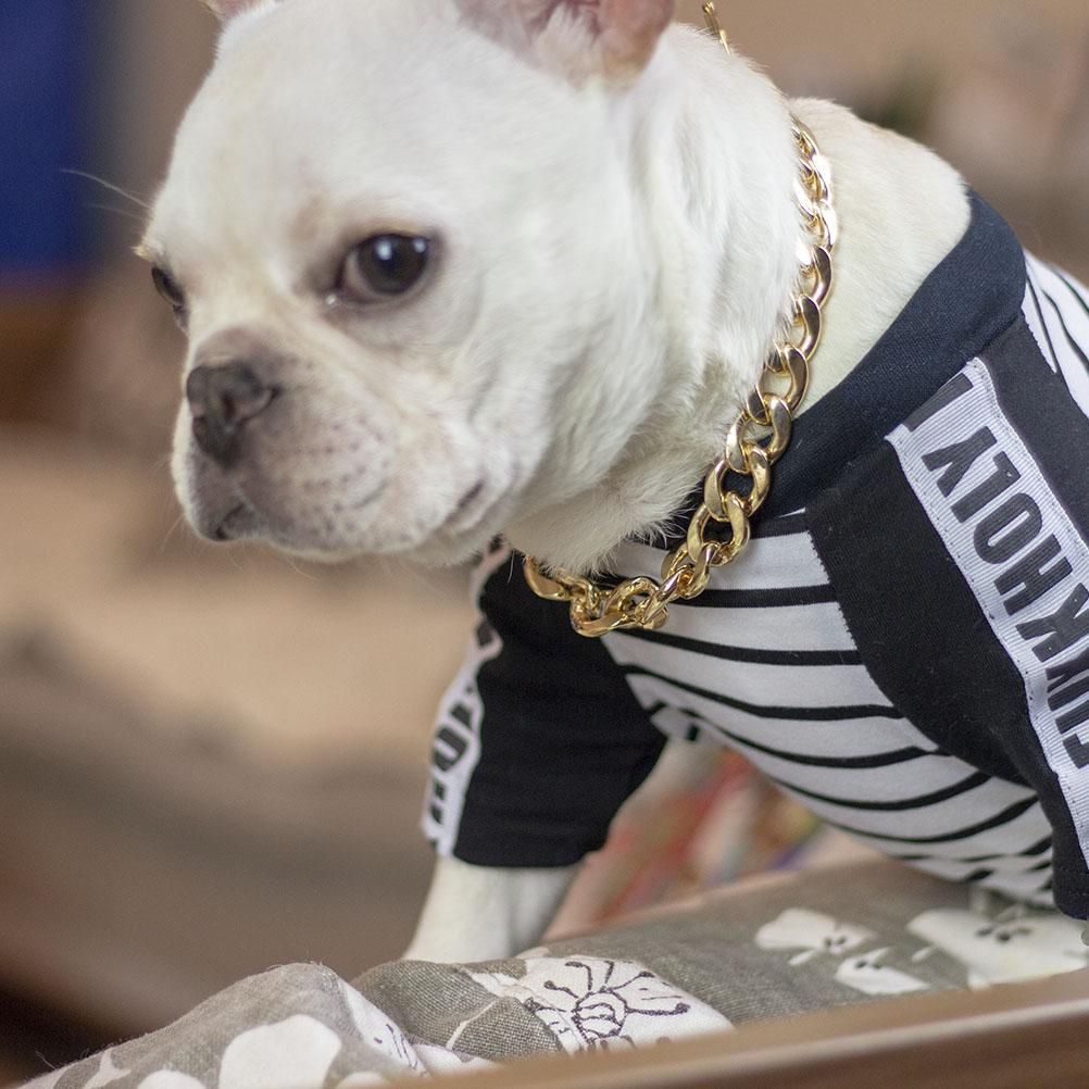 Dog Chain Pet Dog Metal Gold Collar Necklace Pet Jewelry Accessories for Four Seasons - view 9
