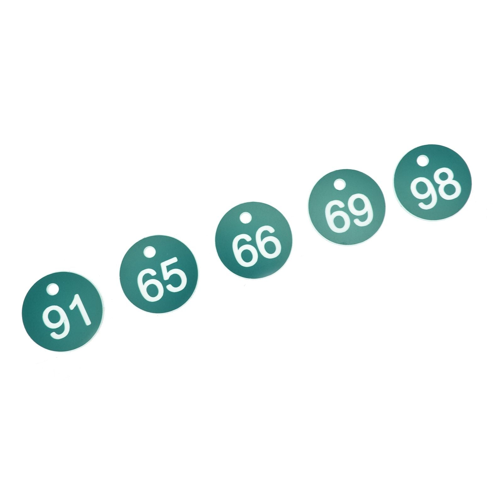 50PCS Numbered Label Numbered Tag for Farm Livestock Beekeeping Husbandry Breeding Supplies51-100 Green - view 10