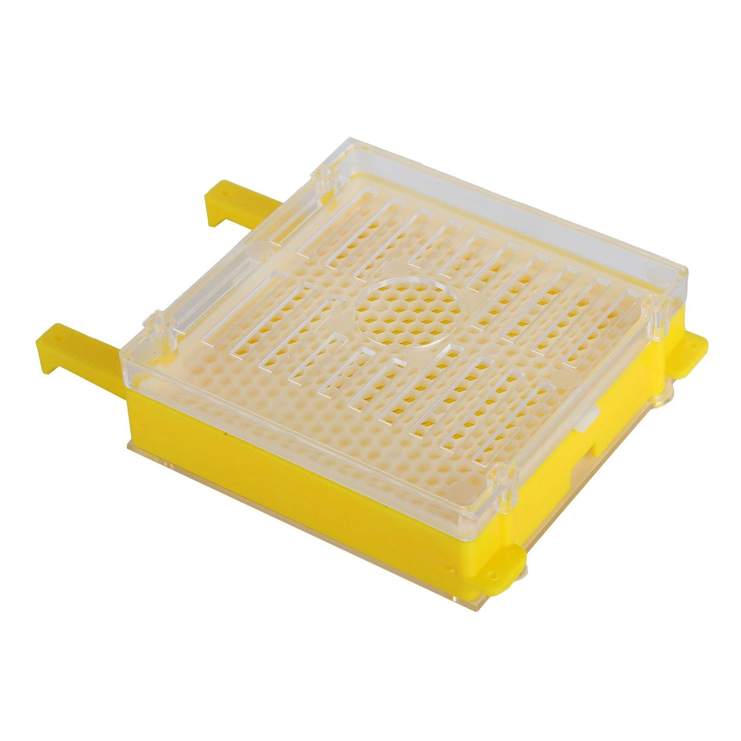 Apiculture System Kit Queen Bee Rearing System Box Beekeeping Box Rearing Grafting Kit - view 2