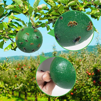 10Pcs Fruit Fly Trap with Sticky Gnat Killer Fruit Fly Traps Effective Fly Catcher Insect Trap for Indoor Outdoor Kitchen - view 3
