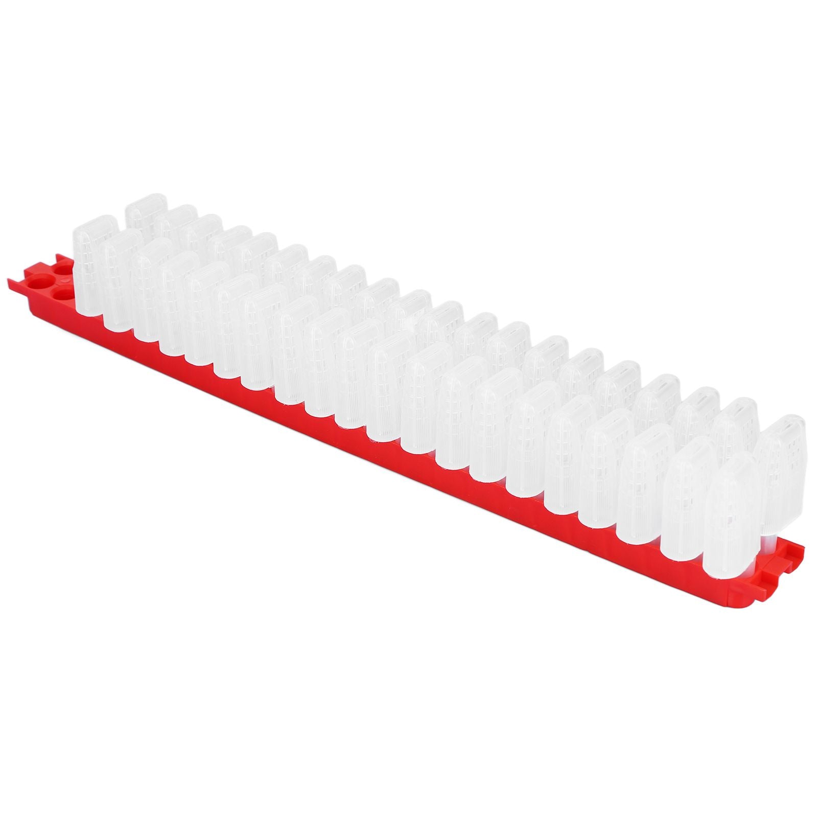 Bee Queen Cage Plastic Bee Rearing Cages Kit with Transport Strip Beekeeping Accessories - view 4
