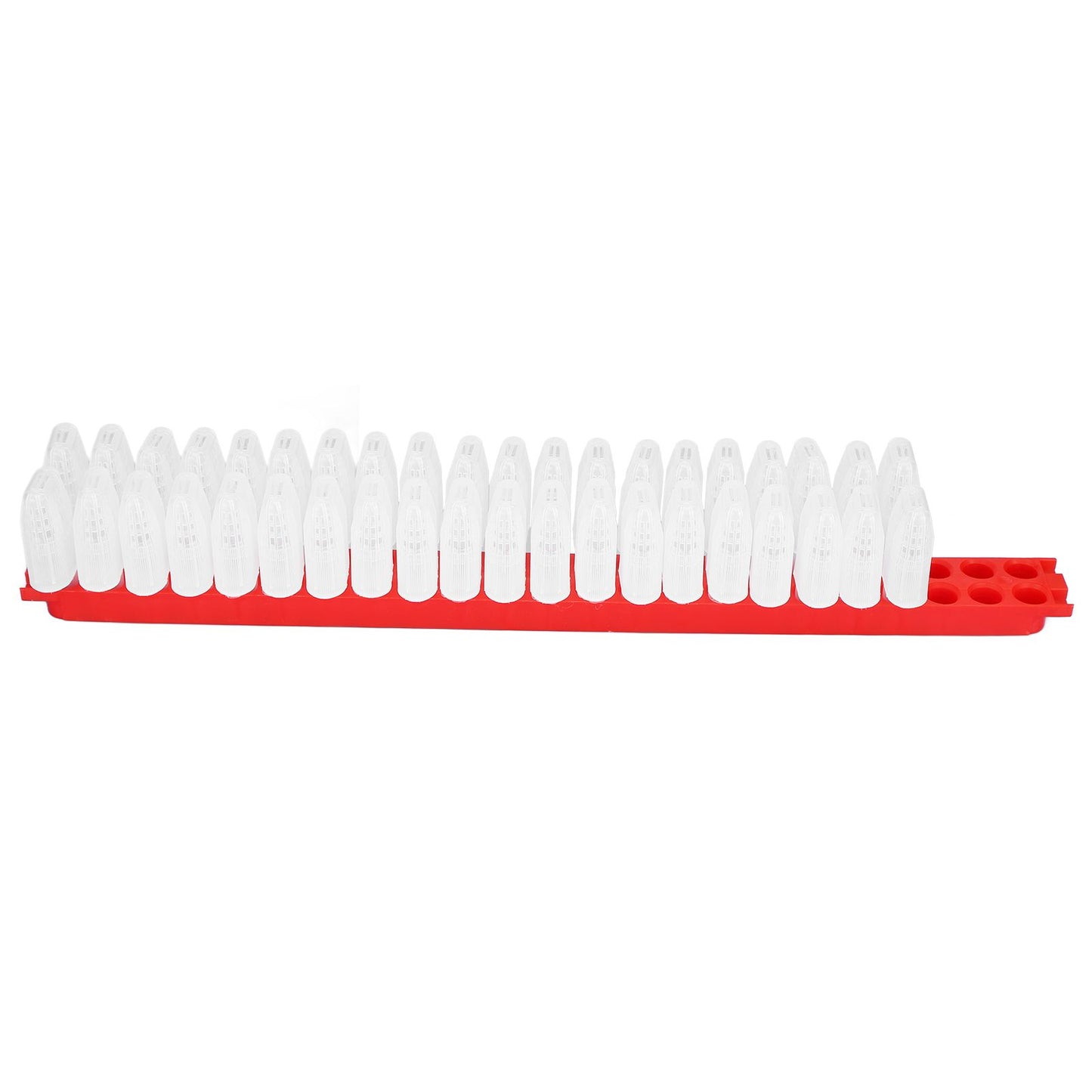 Bee Queen Cage Plastic Bee Rearing Cages Kit with Transport Strip Beekeeping Accessories - view 7