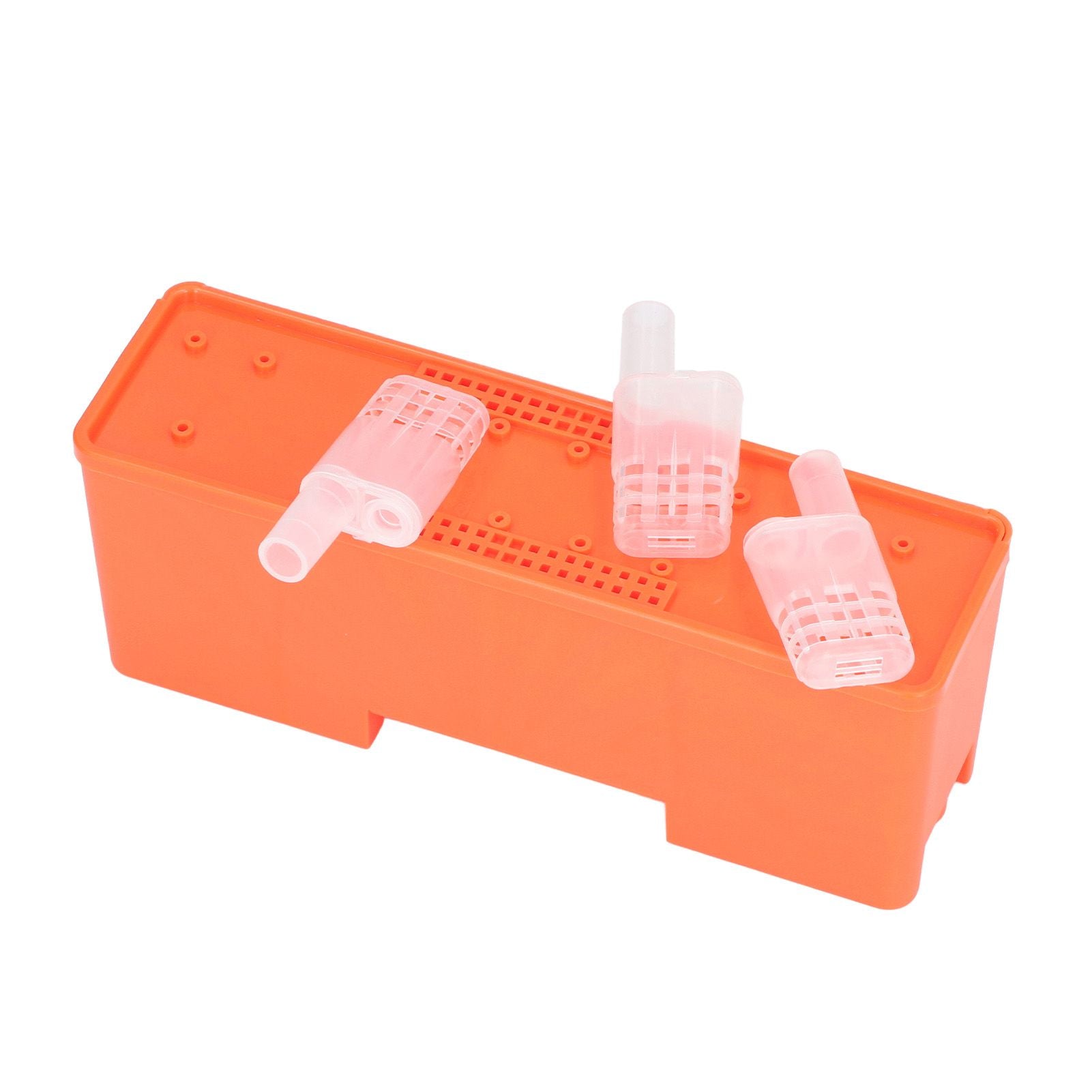 King Cage Transport Box with 20Pcs Queen Bee Rearing Cages Transparent King Cage Beekeeping Tools - view 4