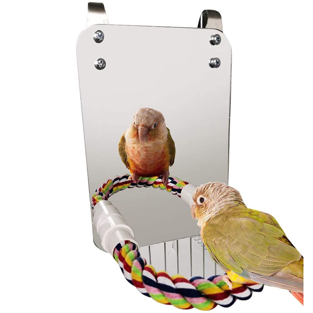 Bird Mirror Toy with Rope Mirror Perch Parrot Bite Toy Parrot Claw Perches Bird Cage Chew Toy - view 2