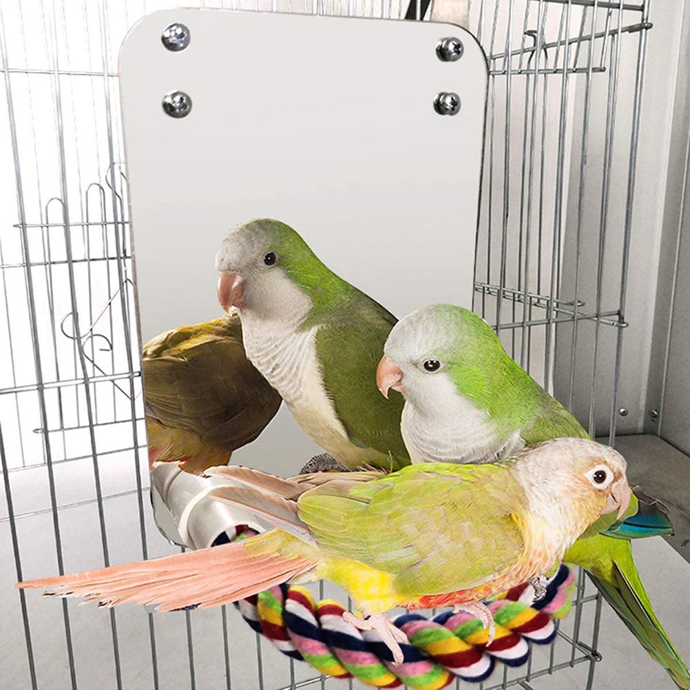 Bird Mirror Toy with Rope Mirror Perch Parrot Bite Toy Parrot Claw Perches Bird Cage Chew Toy - view 5