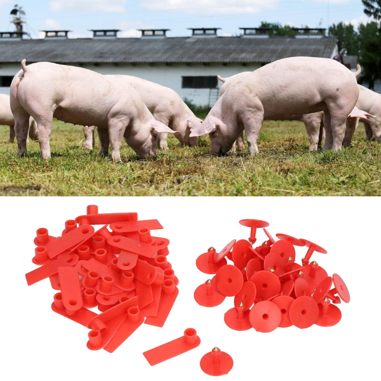 Blank Livestock Ear Tag Handwritable Prevent Shedding Animal Ear Label for Pig Cattle Sheep Red 100 Set - view 10