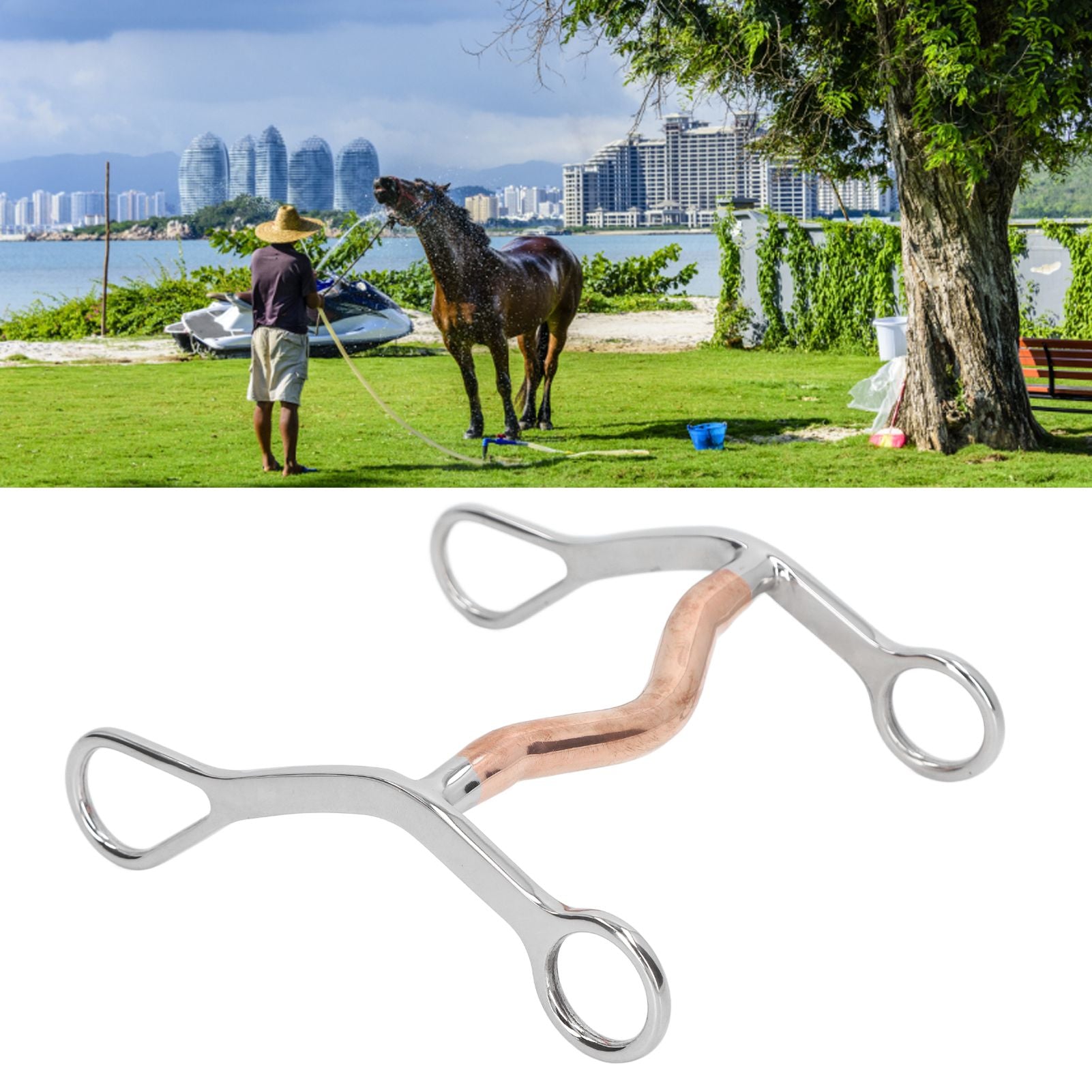 Horse Mouth Bit Stainless Steel Horse Breaking Bit Wear Resistant Corrosion Resistant Horse Snaffle Bit for Farm - view 10