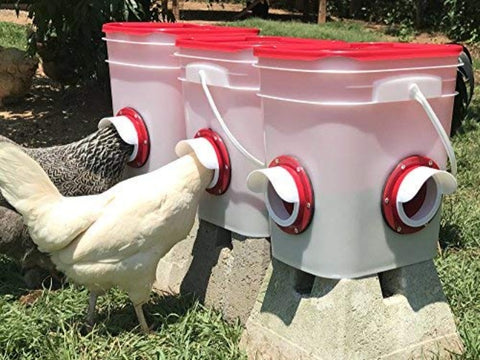 Cheeky Chooka DIY Poultry Feeder Port 4pk - view 2