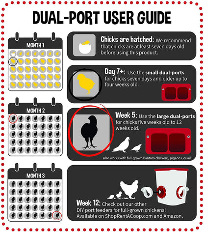 Cheeky Chooka Dual Chick Feeder Port Kit - view 3