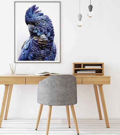 Wall Art 60cmx90cm Black Cockatoo A Black Frame Canvas - view 2