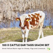 100x Cattle Ear Tags 5x4cm Set - Small Yellow Blank Sheep Pig Livestock Label - view 2