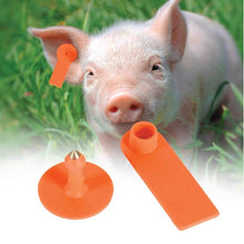 100x Cattle Ear Tags 5x2cm Set - Mini Orange Blank Pig Goat Livestock Label - view 2