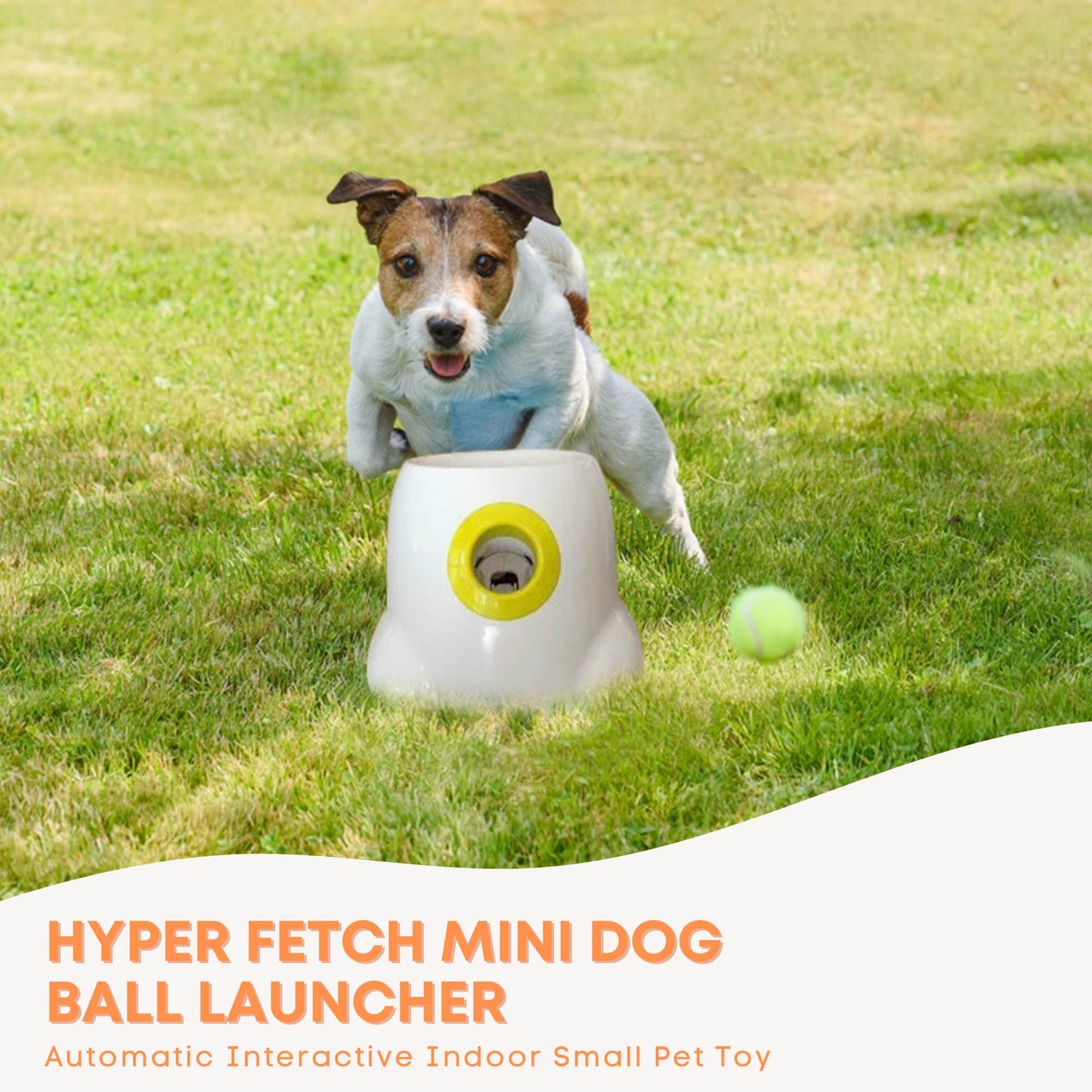 Hyper Fetch Mini Dog Ball Launcher - Automatic Interactive Indoor Small Pet Toy - view 2
