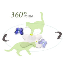 Flutter Bug Butterfly Cat Toy - Interactive Teaser Pet Kitty Play - All for Paws - view 2