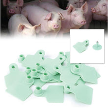 100x Cattle Ear Tags 6x7cm Set - Medium Green Blank Cow Sheep Livestock Label - view 2