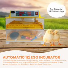 Rooster Farms Electric 112 Egg Incubator + Accessories for Chicken Quail Duck - view 2