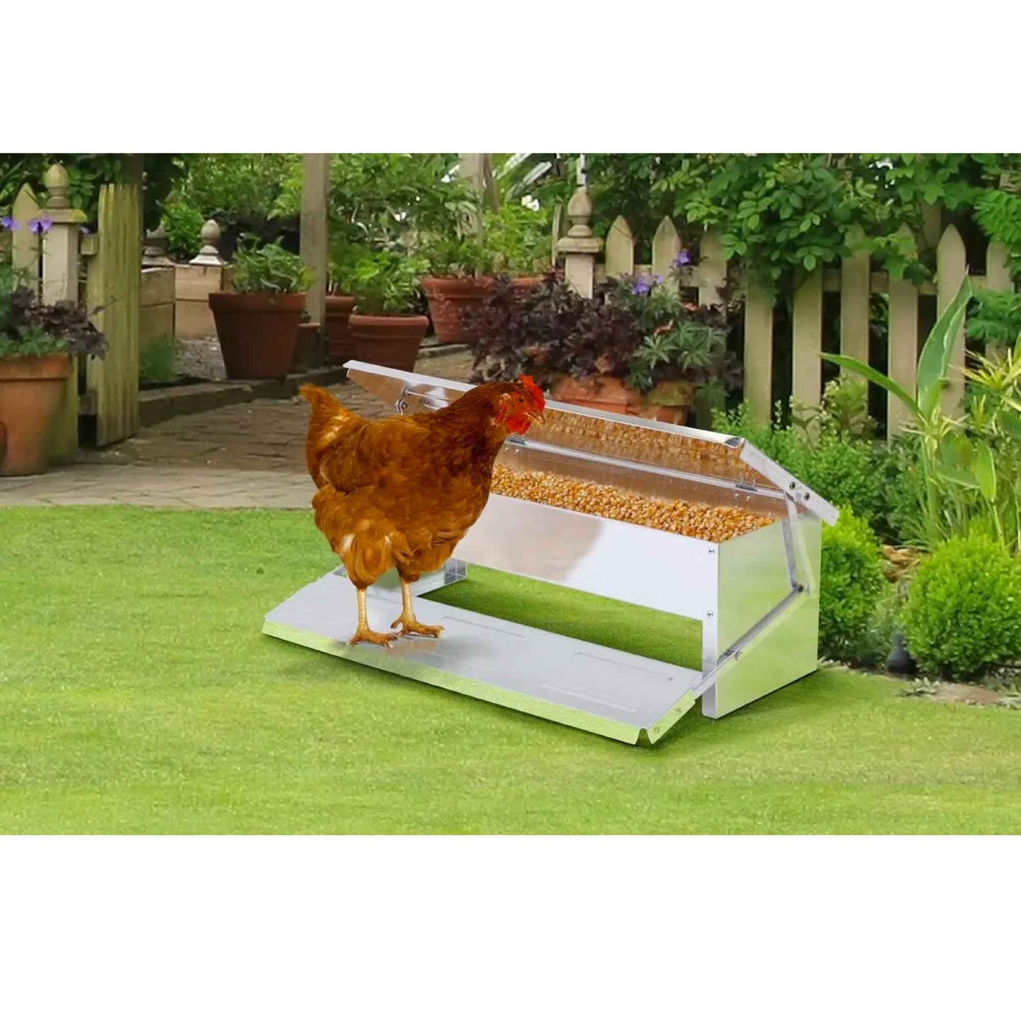 11L Automatic Chook Chicken Feeder Poultry Auto Treadle Aluminium Metal Feeders - view 3