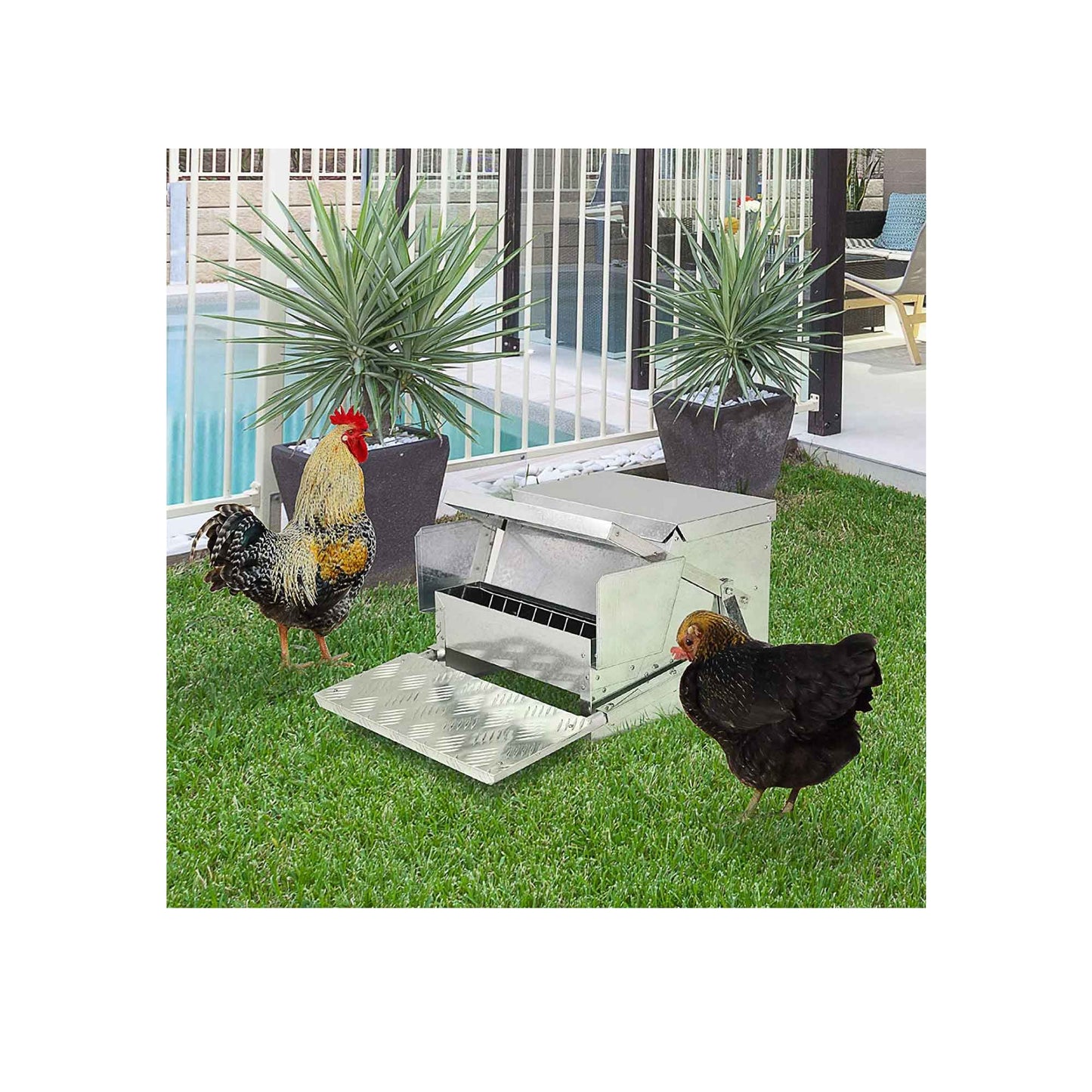 9kg Automatic Chook Chicken Feeder Poultry Auto Treadle Aluminium Metal Feeders - view 5