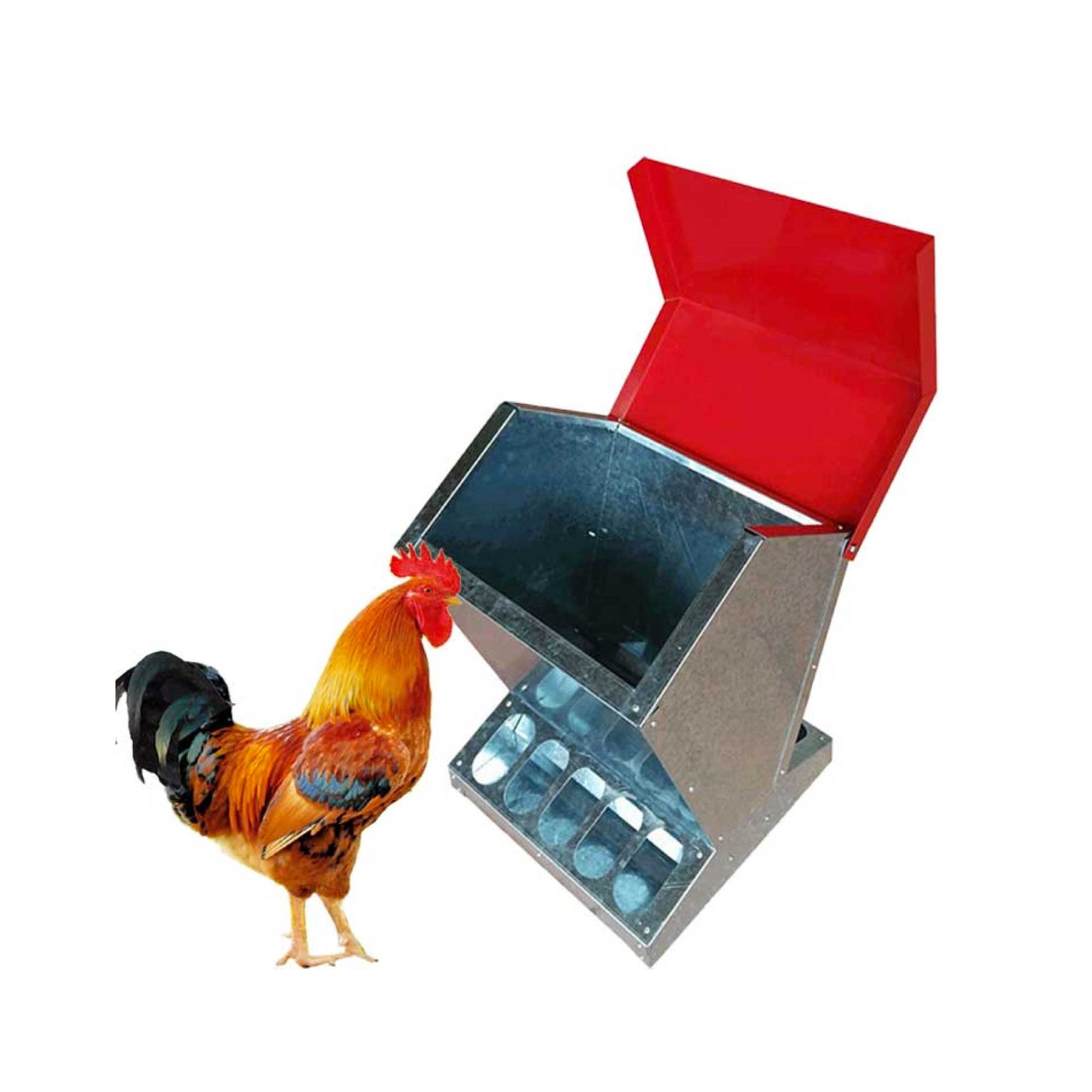 10kg Automatic Chook Chicken Feeder Poultry Auto Trough Galvanised Metal Feeders - view 6