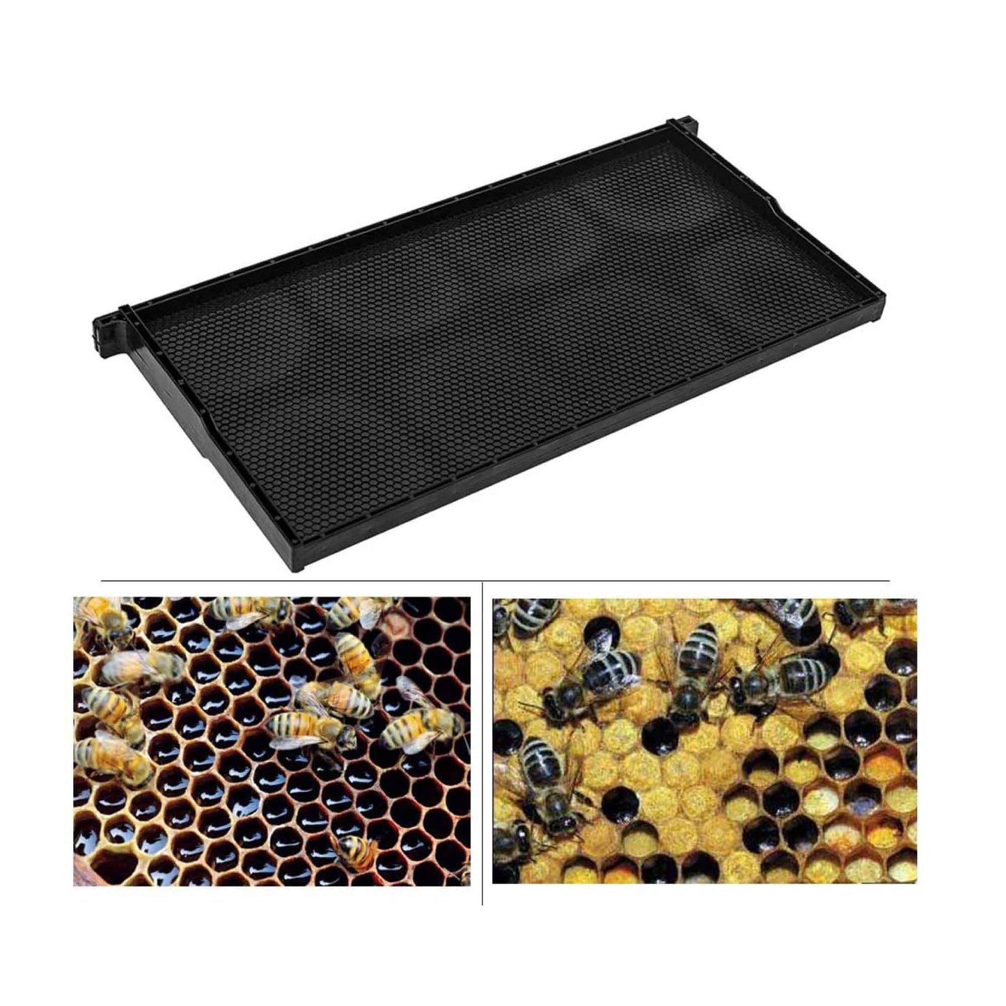 20x Beehive Plastic Frames Foundations Langstroth Bee Hive Deep Box Beekeeping - view 3