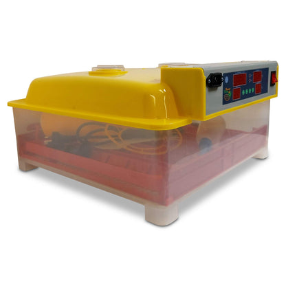 Rooster Farms Electric 60 Egg Incubator + Accessories for Chicken Quail Duck - view 5