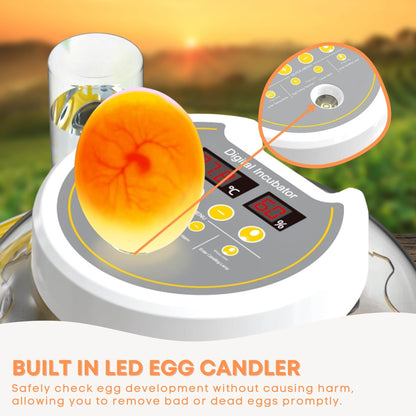 Automatic 8 / 18 Egg Incubator - Electrical Turning Chicken Quail Duck Hatching - view 5