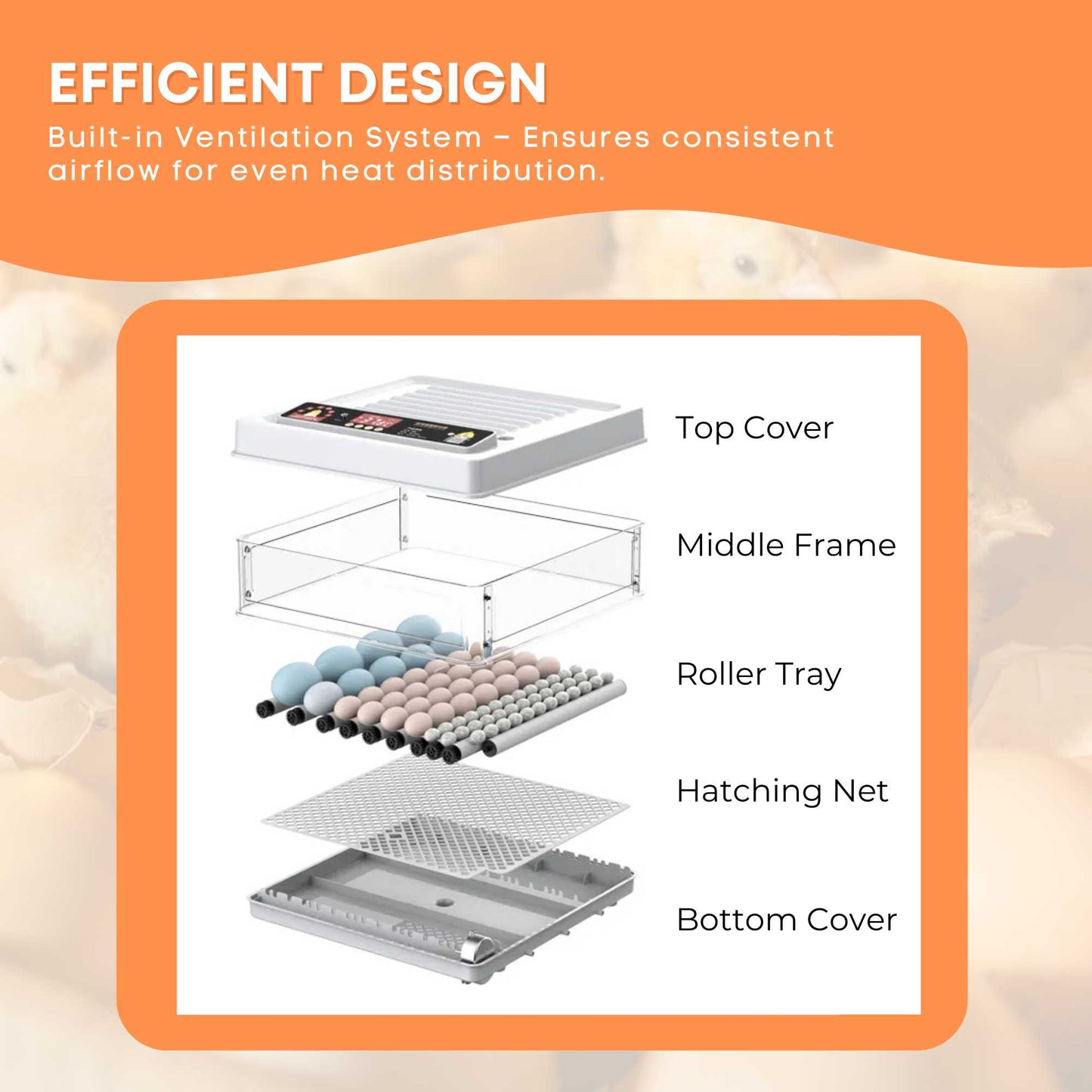 Automatic 48 Egg Incubator - Electric Digital Turning Chicken Quail Duck Hatching - view 6
