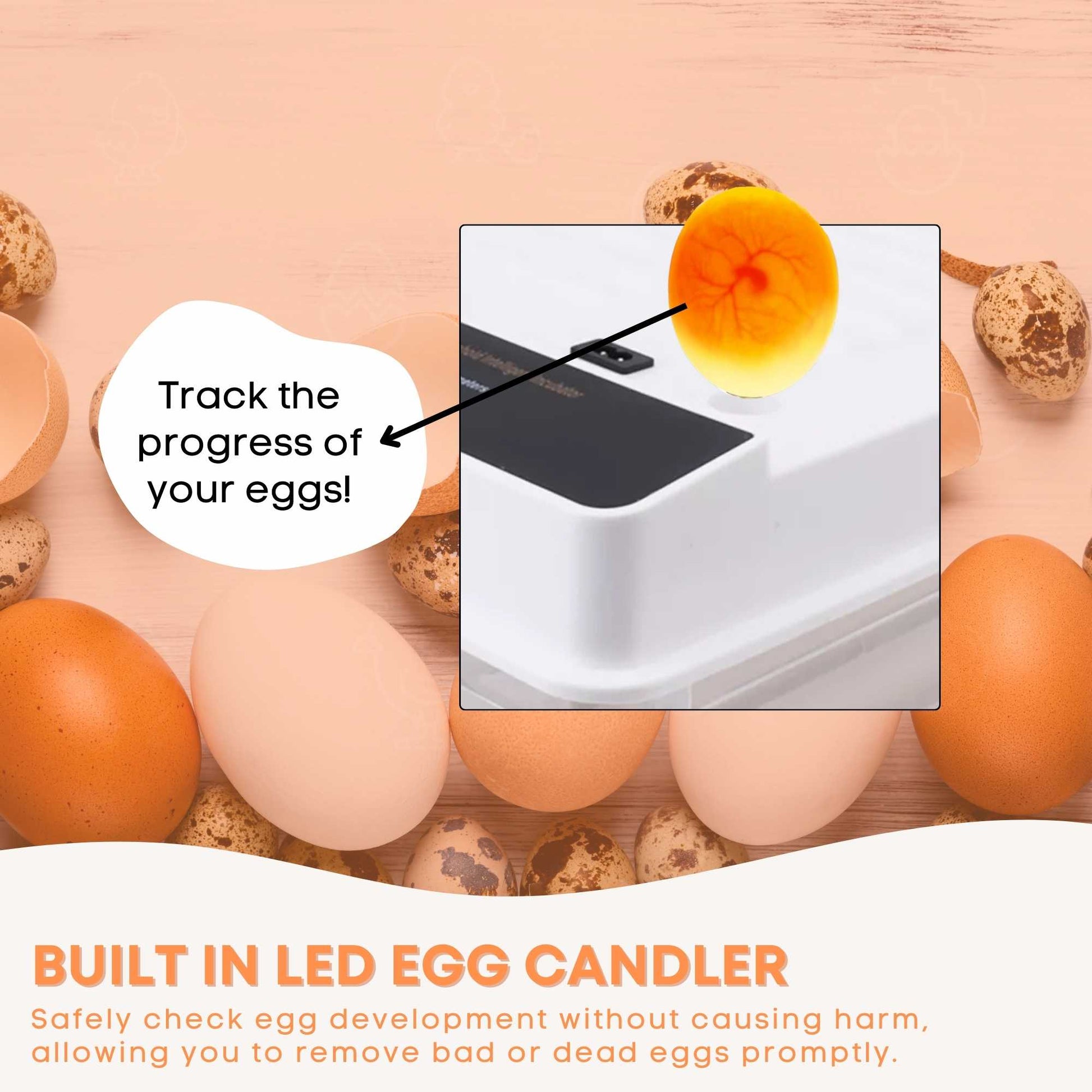 Automatic 48 Egg Incubator - Electric Digital Turning Chicken Quail Duck Hatching - view 8