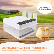 Automatic 70 Egg Incubator - Electric Digital Turning Chicken Quail Duck Hatching - view 2