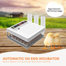 Automatic 130 Egg Incubator - Electric Digital Turning Chicken Quail Duck Hatching - view 2