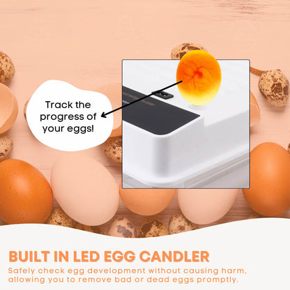 Automatic 130 Egg Incubator - Electric Digital Turning Chicken Quail Duck Hatching - view 6